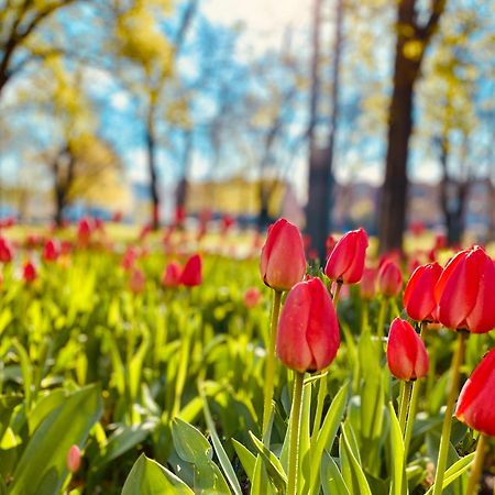 Schoene Aussichten Mitten In Berlin - Il Sole 外观 照片