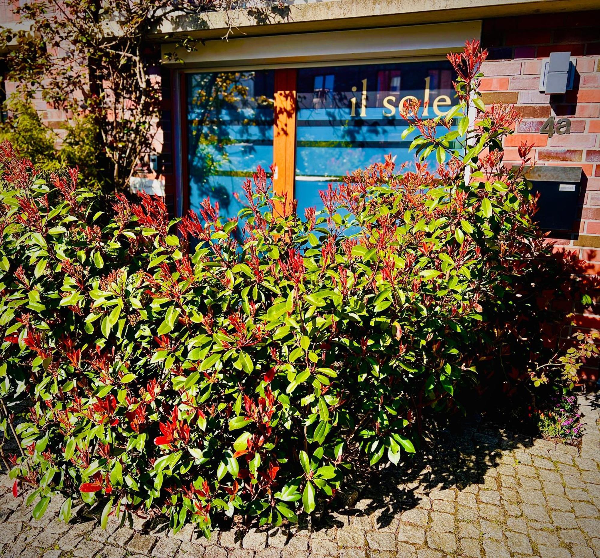 Schoene Aussichten Mitten In Berlin - Il Sole 外观 照片