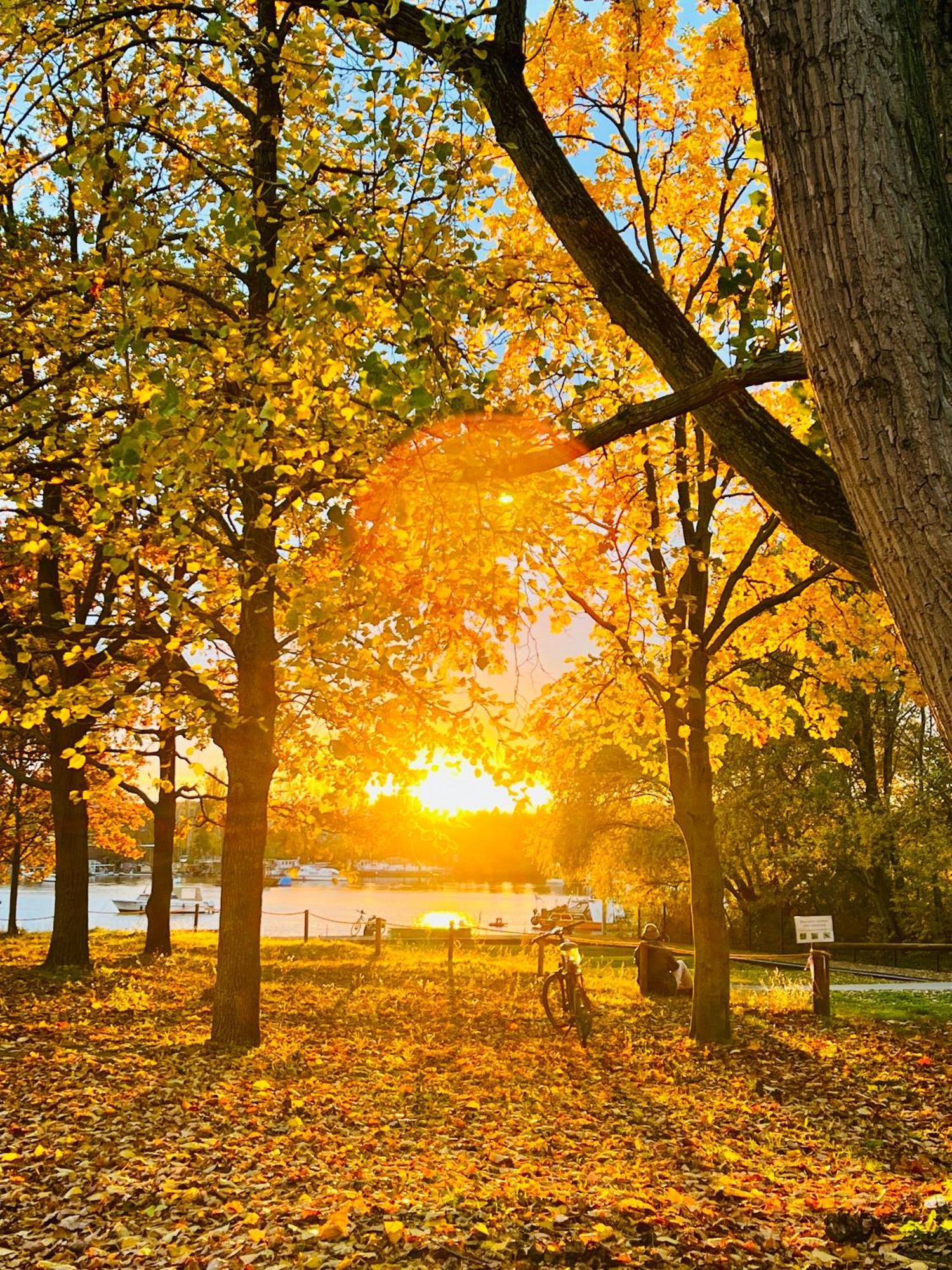 Schoene Aussichten Mitten In Berlin - Il Sole 外观 照片