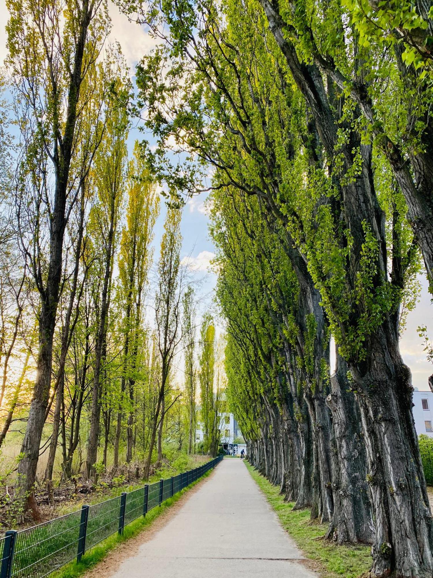 Schoene Aussichten Mitten In Berlin - Il Sole 外观 照片